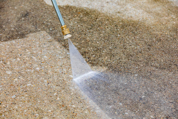 Best Roof Washing  in South Hill, WA